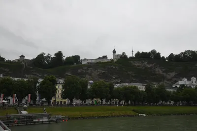 DSC_6146 (Large).JPG